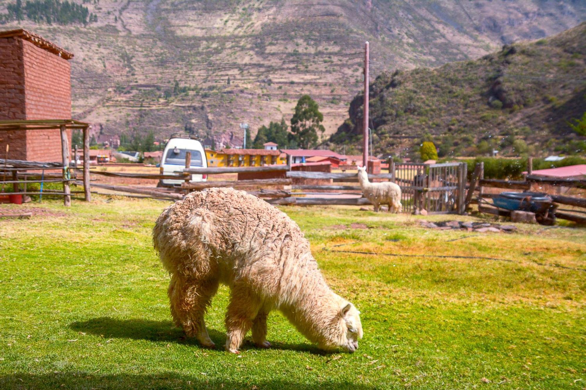 Appartamento Manchitas Wasi Písac Esterno foto